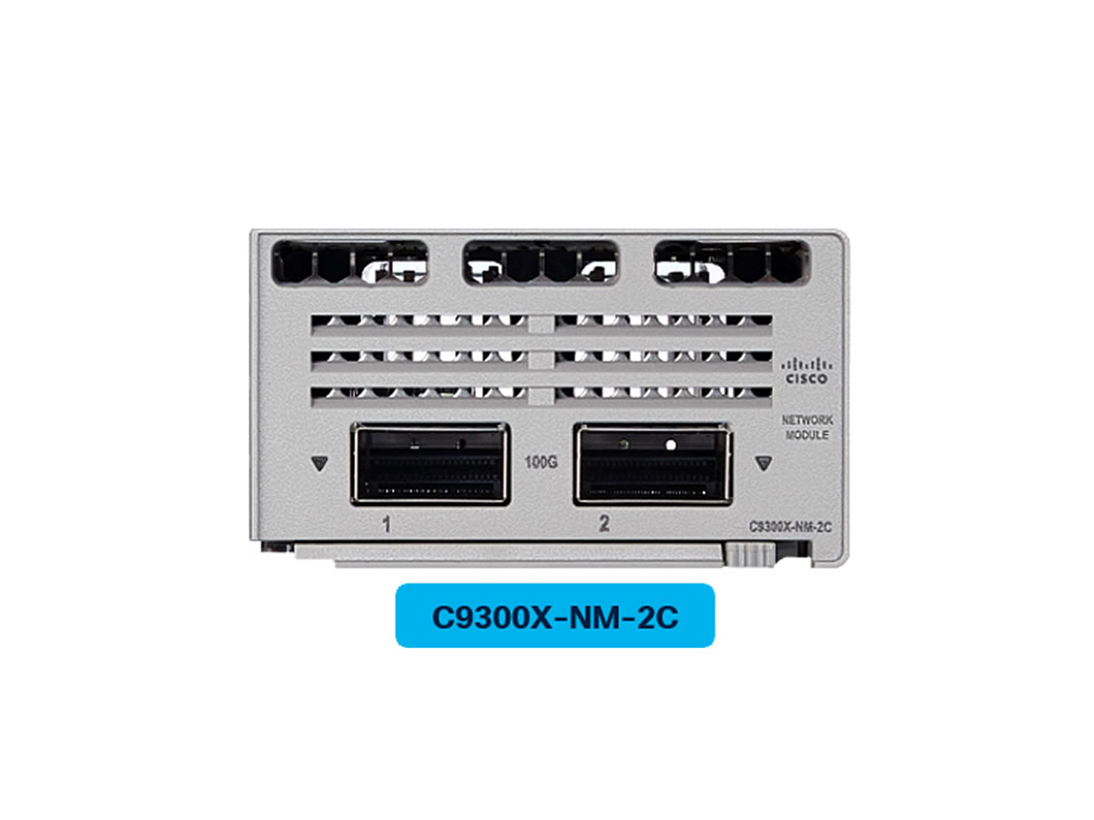 Cisco Catalyst 9300 Series Network Module C9300X-NM-2C