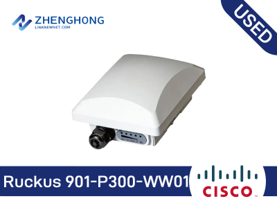 901-P300-WW01 Access Point