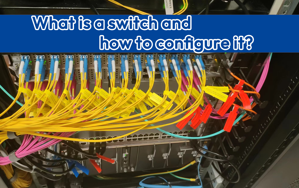 What Is The Switch and How To Config It.png